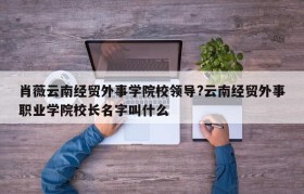 肖薇云南经贸外事学院校领导?云南经贸外事职业学院校长名字叫什么